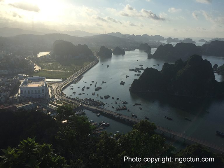 Contemplating Poem Mountain in Halong Bay