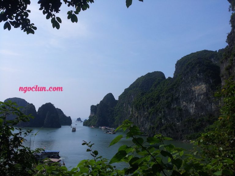 Tổ quốc Việt Nam xanh ngát, có sạch đẹp mãi được không?