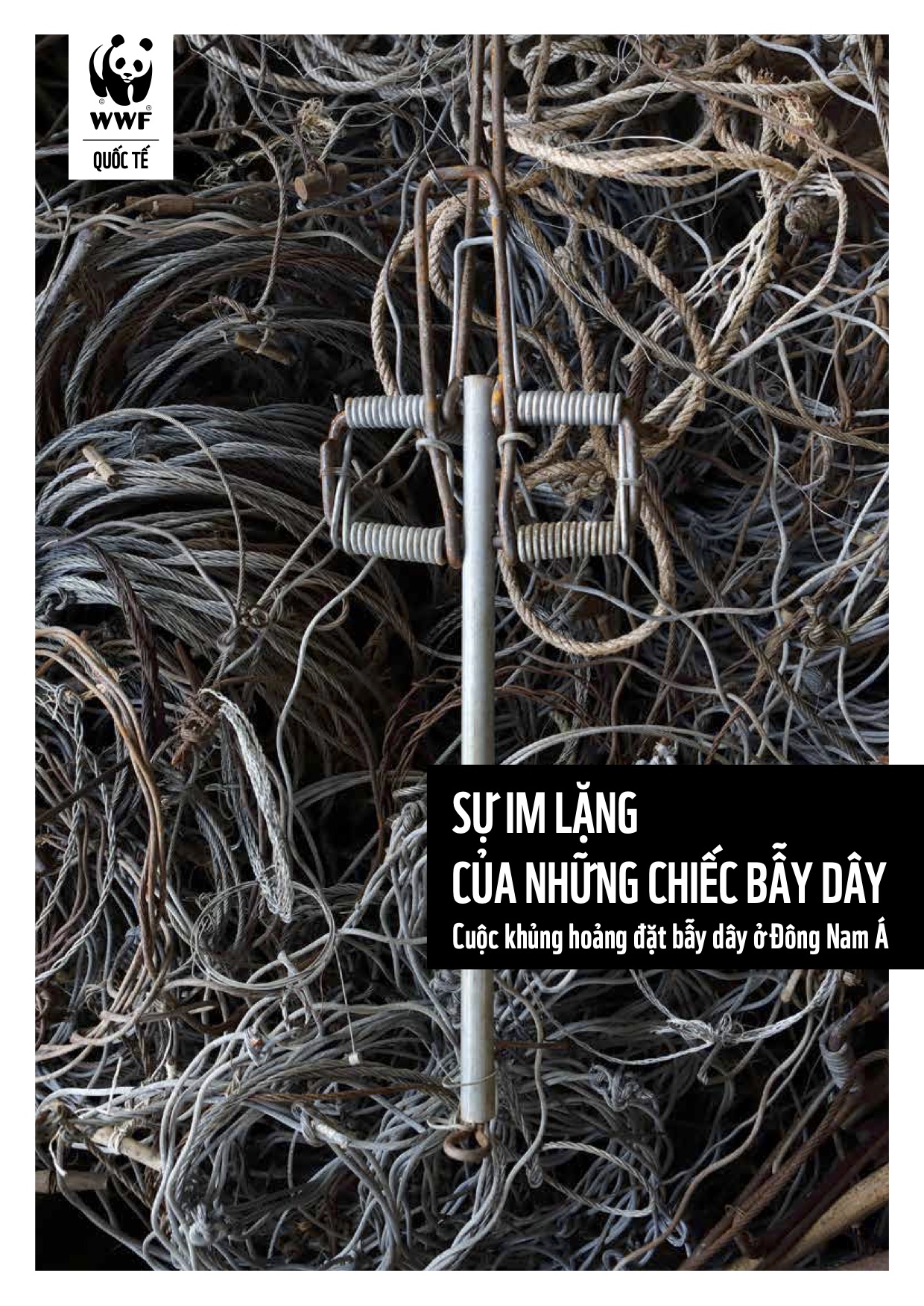 Proofreading – Silence of the Snares – WWF-Viet Nam