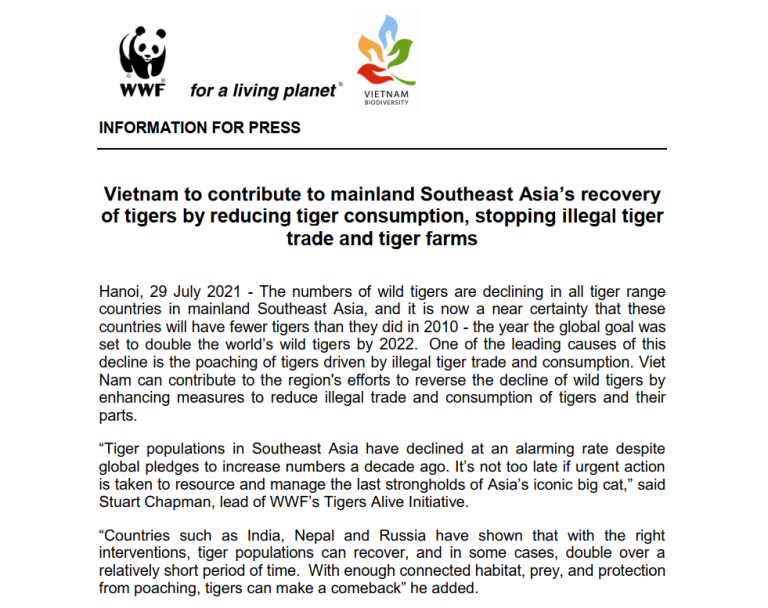 Joint PR with BCA: Vietnam to contribute to mainland Southeast Asia’s recovery of tigers by reducing tiger consumption, stopping illegal tiger trade and tiger farms
